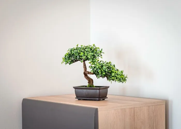 Appartamento Ana Spalato